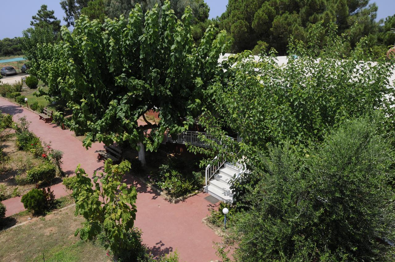 Apartments Hotel Alexandros Arkoudi Buitenkant foto